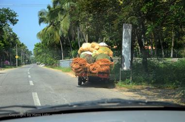 On the Route to Trivandrum,_DSC_8782_H600